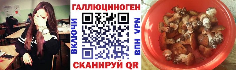 Псилоцибиновые грибы ЛСД  Купить закладки  Суровикино 